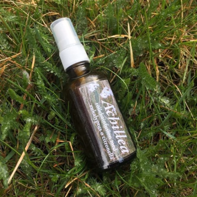Achillea röllekainfusion – fästingspray för djur