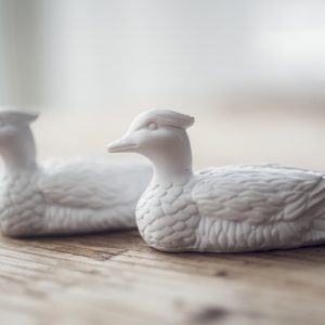 Mandarinänder för kärlek – Hon & Hon